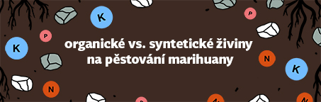 Organické vs. syntetické živiny na pěstování marihuany