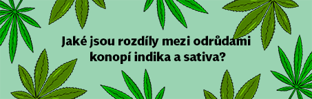 Jaké jsou rozdíly mezi odrůdami konopí indika a sativa?