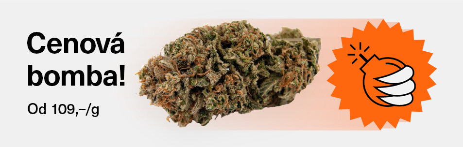 cbd konopi v akci - amnesia haze
