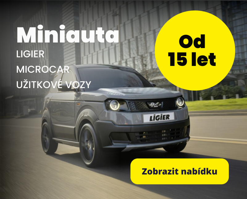 miniauta