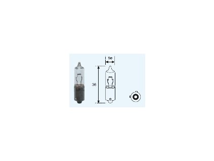 Žiarovka H21W 12V
