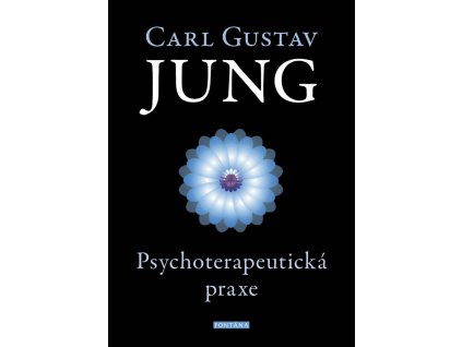 Psychoterapeutická praxe