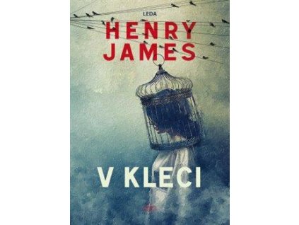 V kleci