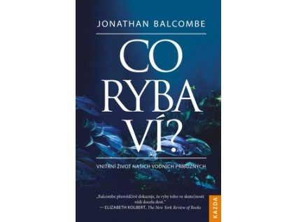 Co ryba ví?