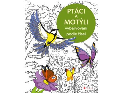 Vybarvování podle čísel: Ptáci a motýli