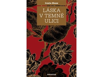 Láska v temné ulici