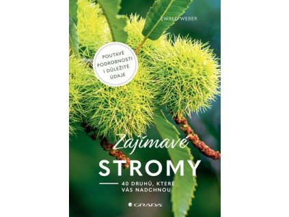 Zajímavé stromy