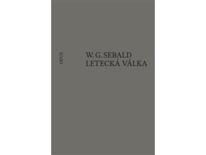 Letecká válka a literatura