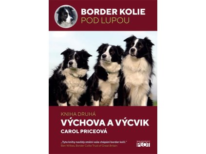 Border kolie pod lupou 2 - Výcvik