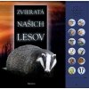Zvieratá našich lesov