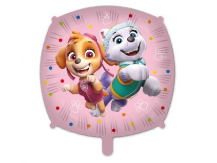 Balón foliový Tlapková patrola - Sky a Everest - 45 cm
