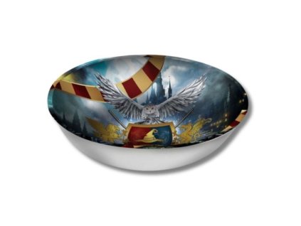 Plastová miska čaroděj - kouzelník HARRY - 27 cm