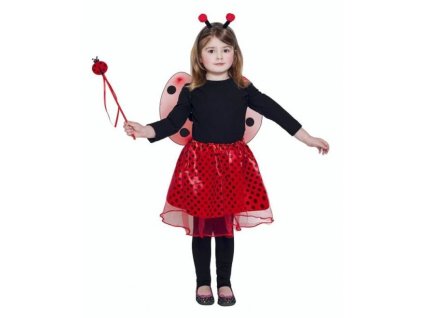 Dětský kostým - sada beruška - 4 ks - unisex