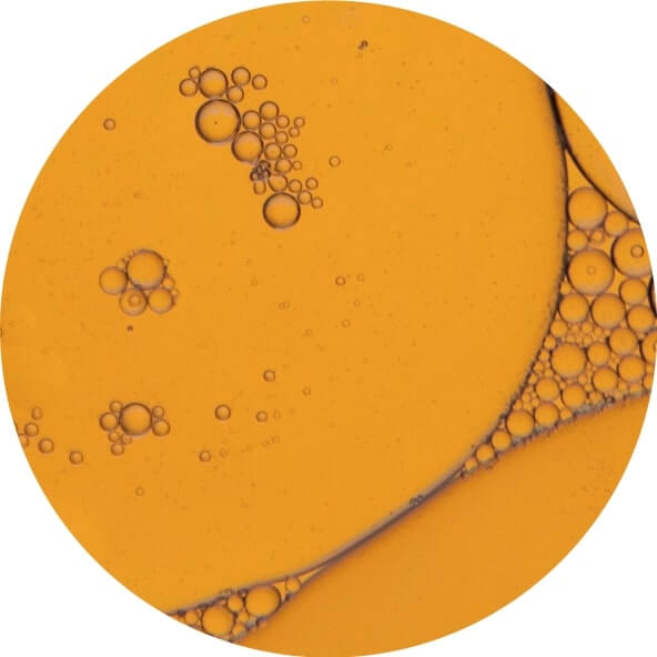 Oryza Ceramide<sup>TM</sup>