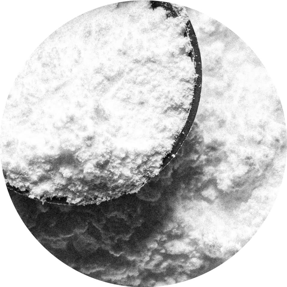 Bioecolians