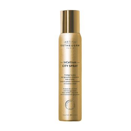 IE 05V921001 CITY SPRAY A 100ML SHADOW WEB