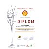 diplom solera
