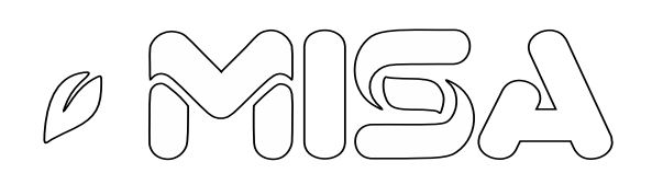 Nadace MISA