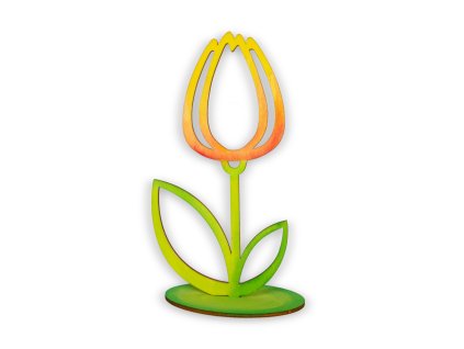 f7466010562000 00 Tulipan