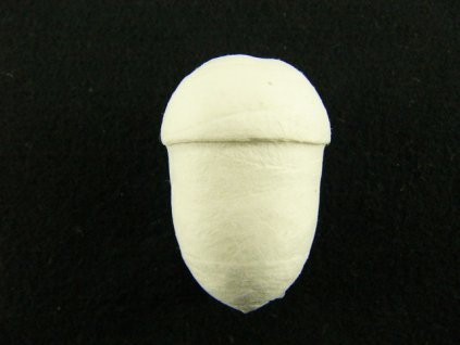 f7461876003910 01