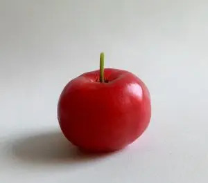 acerola_plod