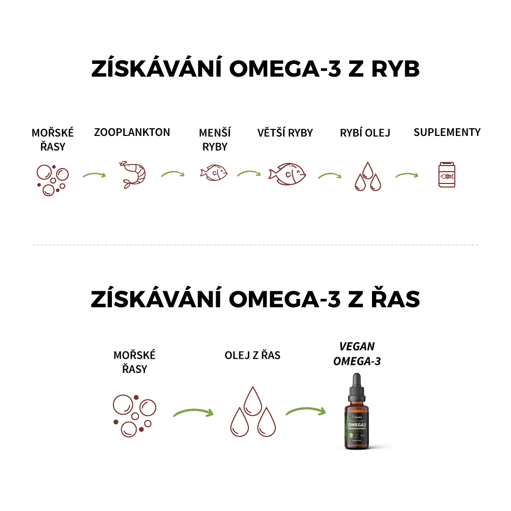 blendea_vegan_omega_3_vyroba