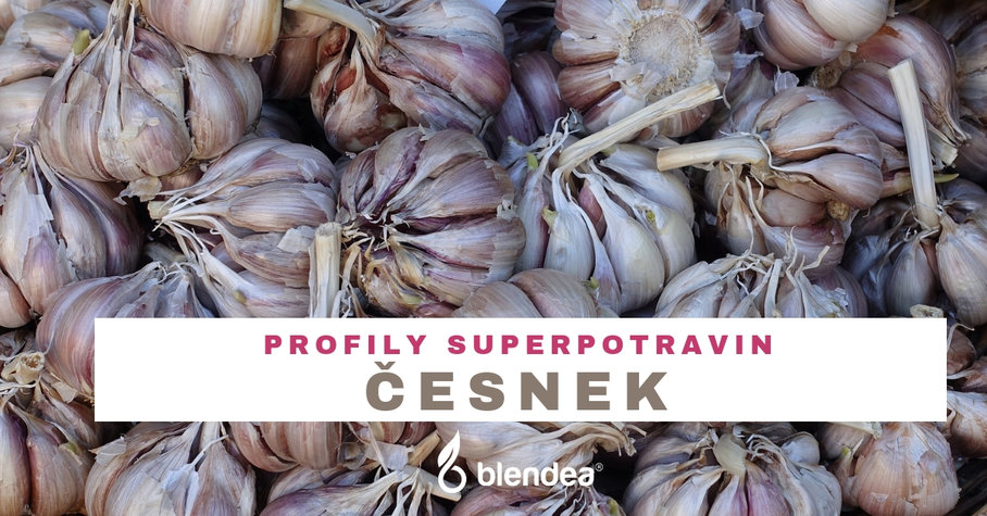 Cesnek Nemoci (česnek může, antioxidační vlastnosti, Česnek také, které mohou) Cesnek Nemoci