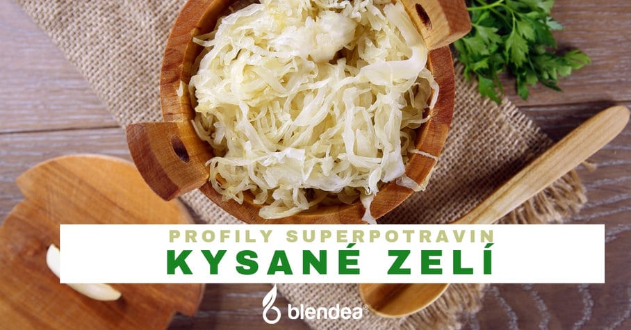 profil kysané zelí