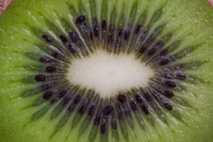 kiwi