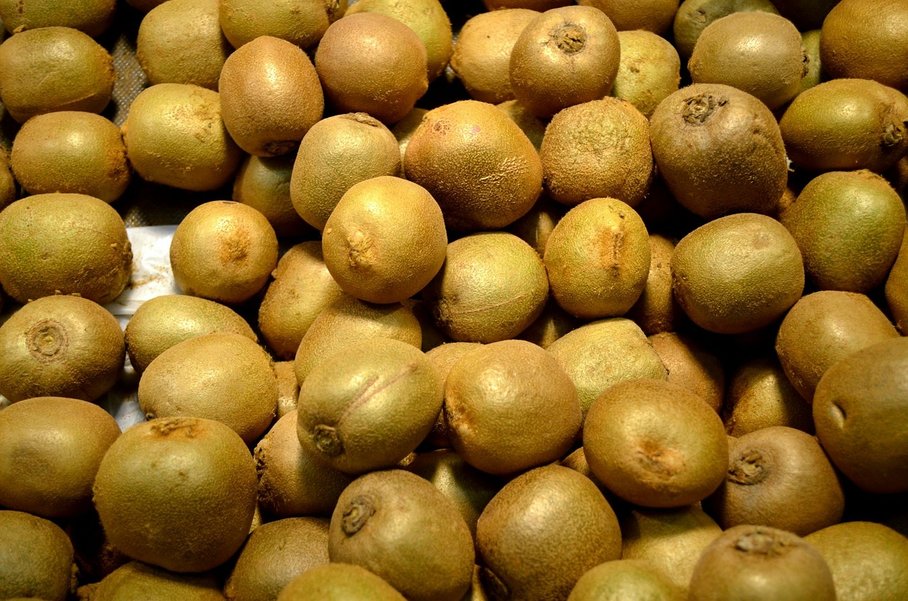 kiwi