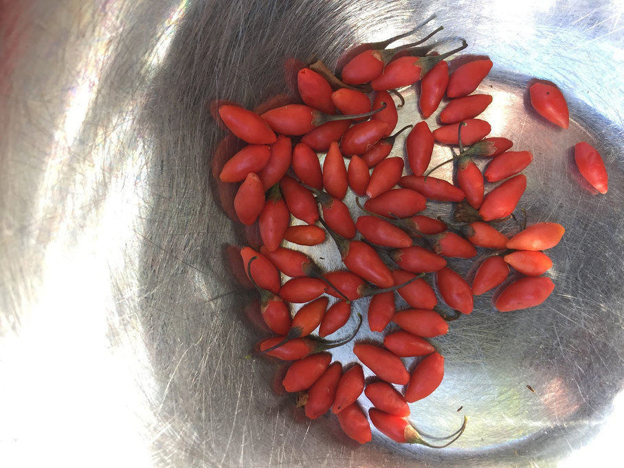 goji