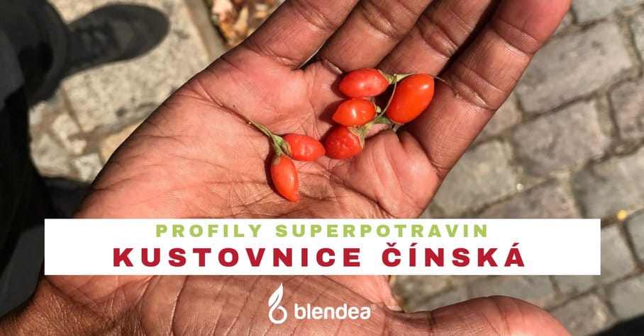 profil kustovnice čínská