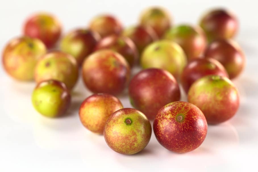 camu camu