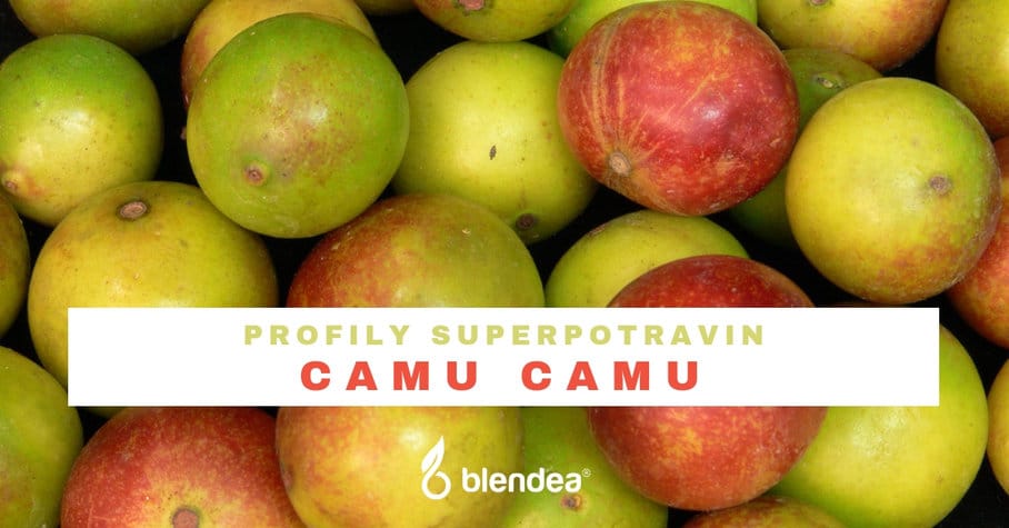 profil camu camu