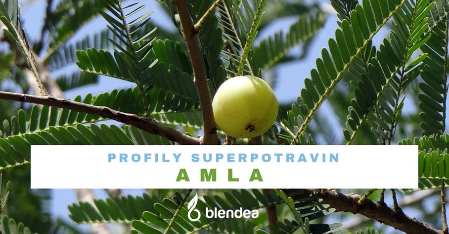 profil amla