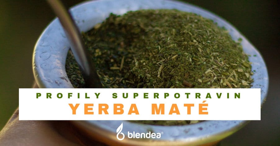 profil yerba maté