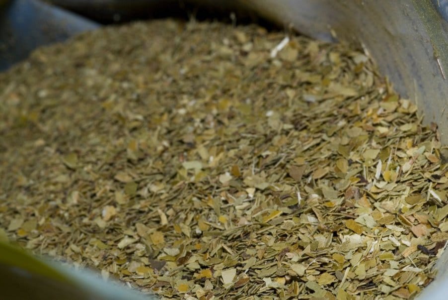 sušené listy yerba maté