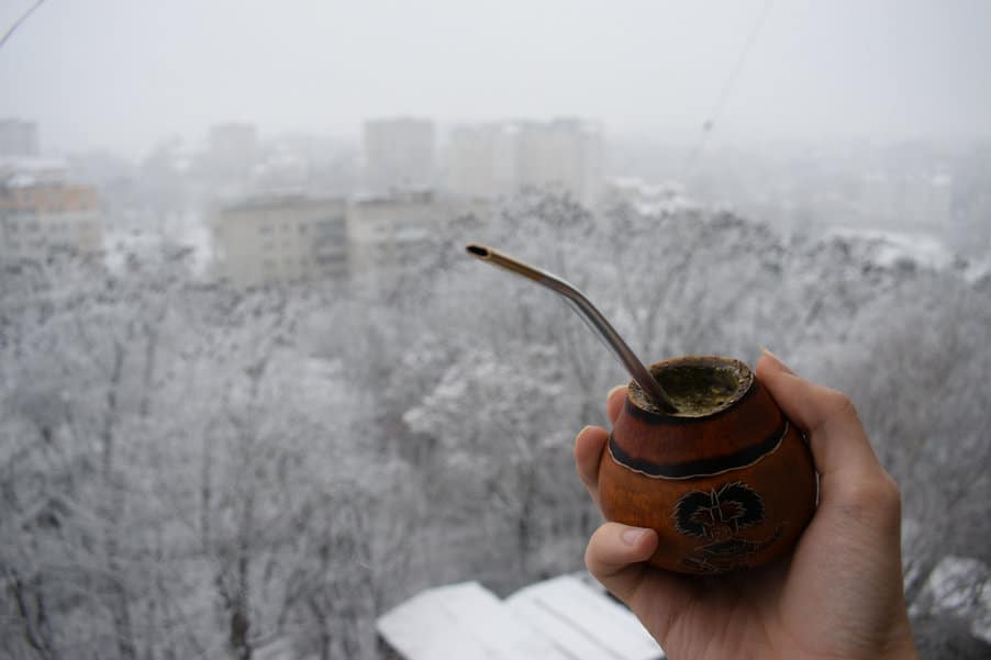 yerba maté kalabasa