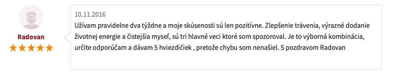 recenze Blendea zlepšení trávení