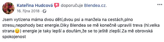 recenze Blendea zlepšení trávení