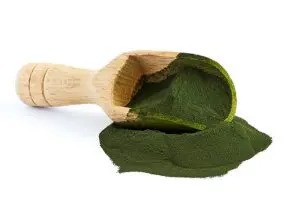 chlorella_prasek