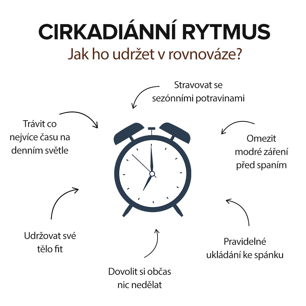 co_je_cirkadianni_rytmus
