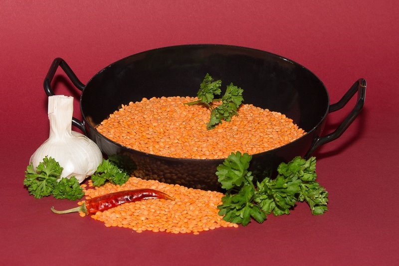 cocka_jako_zdroj_bilkovin