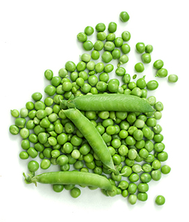 hrachovy_protein_1