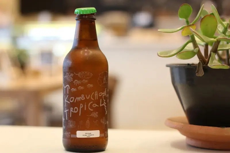 kombucha_jako_zdroj_probiotik