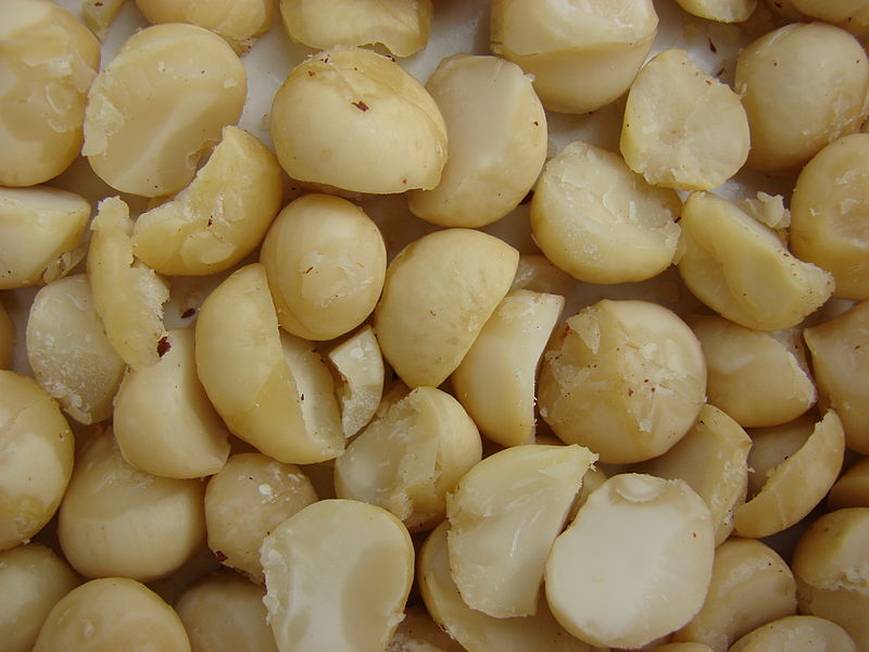 makadamove_orechy