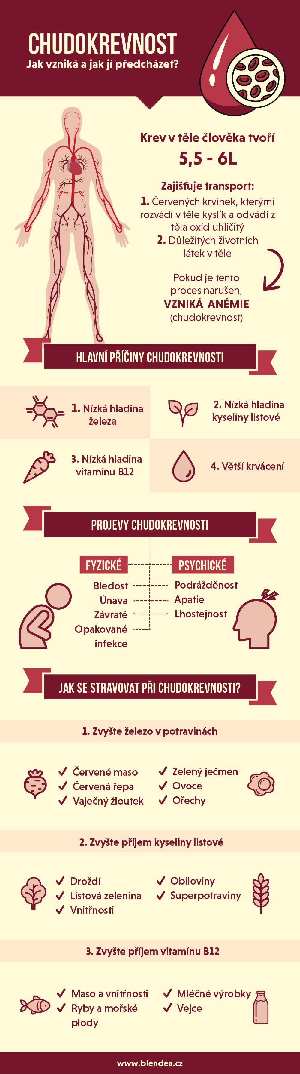 priciny_a_priznaky_chudokrevnosti