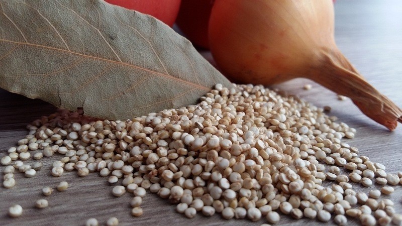 quinoa_zdroj_horciku