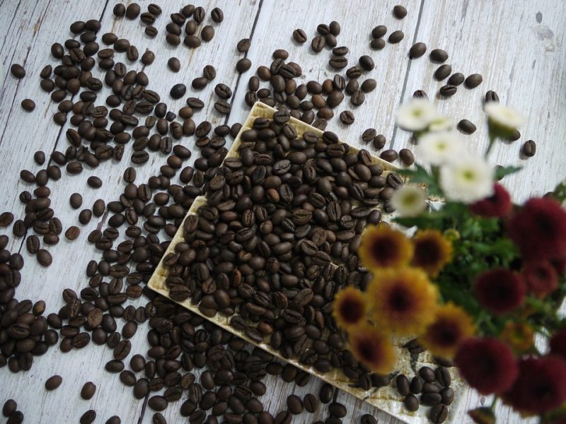 robusta_davkovani