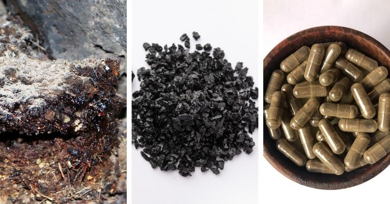 shilajit